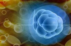 阻止胚胎干细胞“脱单”，科学家找到关键基因