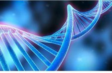 新突破！我科学家首次实现图形结构基因组构建