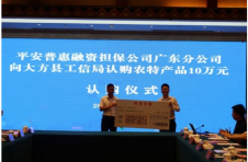 “以购代捐”助力消费扶贫 平安普惠广东分公司随广州天河区党政代表团赴贵州考察调研